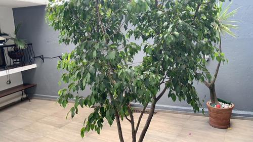 Se Vende Magnificacasa