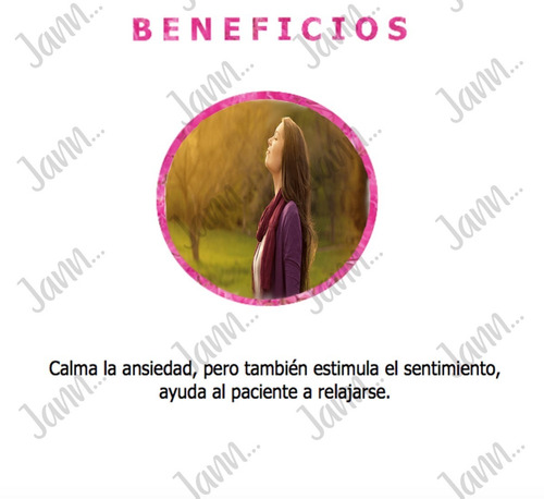 Aceite Esencial De Geranio Puro 10ml.