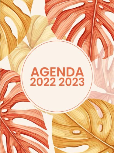 Agenda 2022-2023 Dia Por Pagina: Planificador Gran Formato A