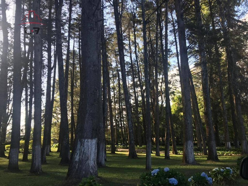 Imagem 14 de 14 de Casa Com 6 Dormitórios À Venda, 972 M² Por R$ 40.000.000,00 - Parque Das Nascentes - Pinhais/pr - Ca0089
