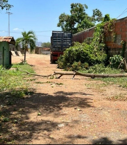 Imagen 3 de 8 de Se Alquila Patio 10 Mil Mt2 Con Galpon 150 Mt2 En Mesones De 10,000 Mt2 Frente Del Peaje Barcelona