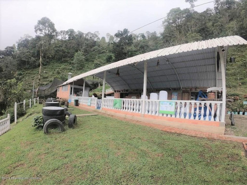 Lote En Vereda Hoya Grande Rah Co: 21-763