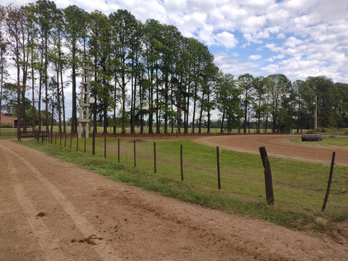 Campo En Venta En Pilar