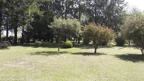 Imagen 4 de 13 de Chacra Con Lote En San Clemente