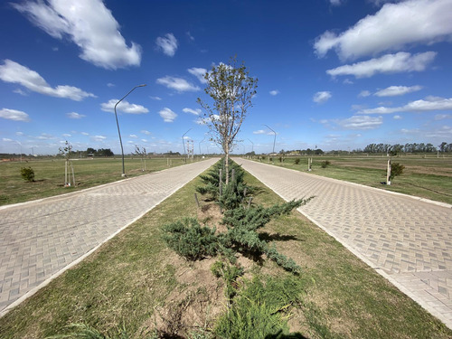 Terreno Apto Comercial 300 M2 - Ecotierra Norte - Pueblo Esther - Distrito Cero