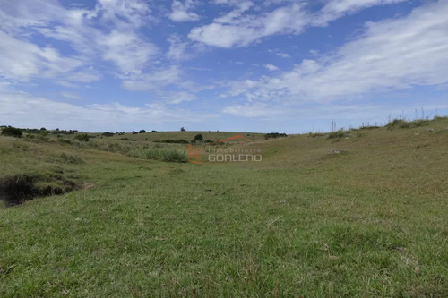Ruta 39, A 47 Km De Punta Del Este, Venta De Campo Ganadero, Muy Panorámico Y Con Cañadas.