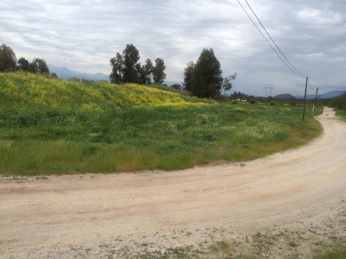 Camino El Arpa 4 Hás Conecta Con Carretera Acceso Sur - Buin