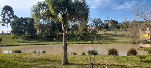 Imagem 15 de 29 de Fazenda À Venda Na Francisco Schena, Roseira, Campina Grande Do Sul - Pr - Liv-17183