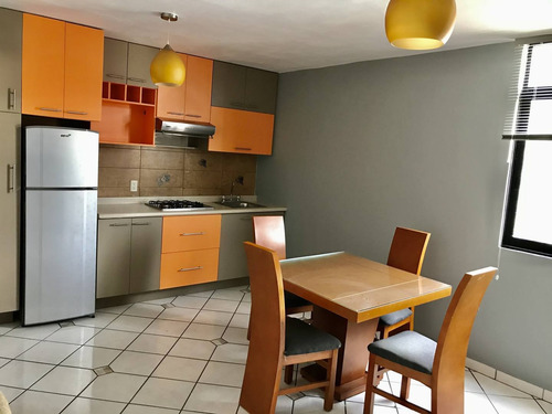 Imagen 7 de 12 de Departamento En Renta Calle Miguel Lerdo De Tejada, Colonia Americana, 64160