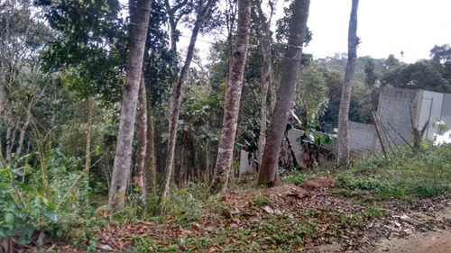 Imagem 5 de 6 de Terreno - Te00026 - 34299727
