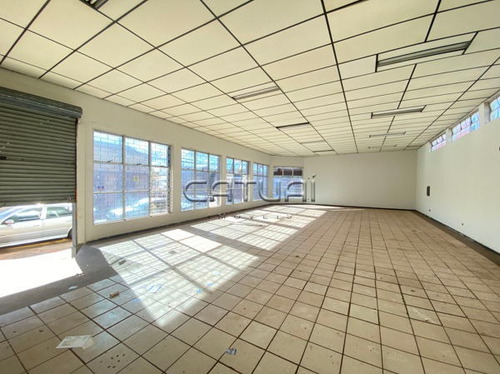 Imagem 2 de 7 de Comercial Galpão / Barracão - 311799-l