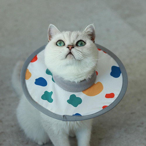 Collar De Recuperación De Mascotas Evita Que Lamer Fácil L