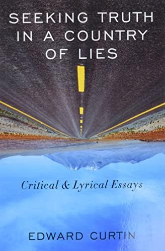 Seeking Truth In A Country Of Lies: Critical & Lyrical Essays, De Curtin, Edward. Editorial Clarity Press, Tapa Blanda En Inglés