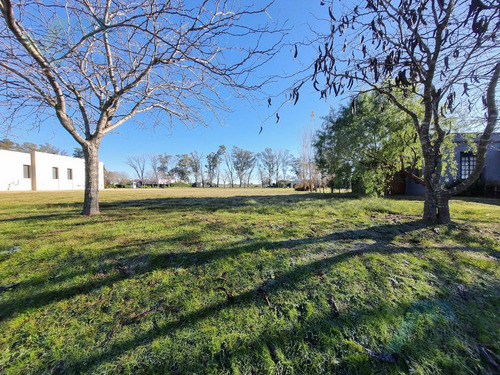 Terreno En Venta Los Palenques