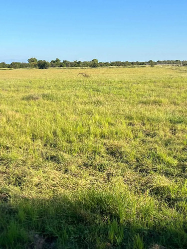 Se Vende Parcela De 5.000 Mt2 Cerca De Parral (126604)