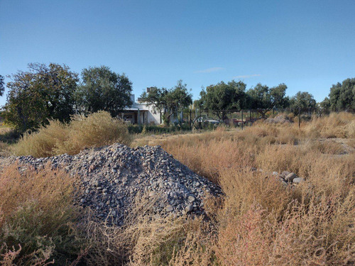 Imagen 4 de 6 de Vendo Lote De 1000 Metros Cerrito