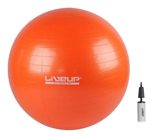 Pelota Gimnasio Bobath Pilates Yoga 65 Cm Con Bomba Azul