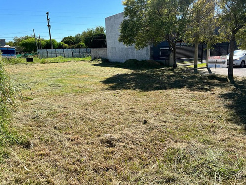 Lote En Venta Apto Dúplex En Nueva Urca Próximo A Intercountry.
