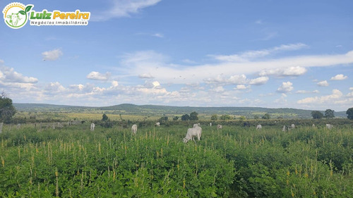 Imagem 4 de 15 de Fazenda Á Venda Em Corguinho/taboco - Ms -551 Hectares (dupla Aptidão) - 2237
