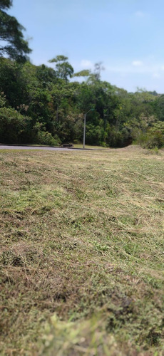 ¡invierte En El Paraíso Natural De Pance! Lote De 9.000 M² A $1.150 Millones