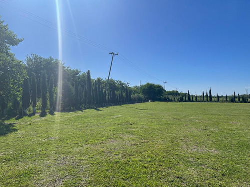 Venta Campo- Hectáreas-casa De Campo-verde-parque-romero-la Plata