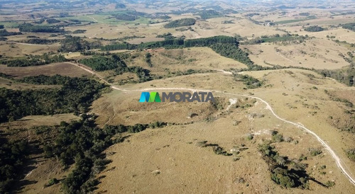 Imagem 9 de 15 de Fazenda - Zona Rural - Ref: 5396 - V-mta5396