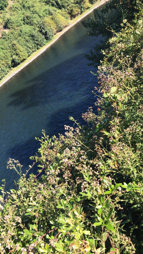 Venta Terreno Orilla De Río Bueno / Los Chilcos / La Unión