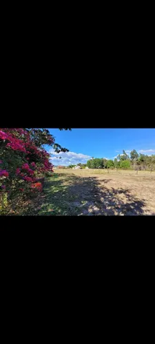 Venta De Lotes Desde 145 M2 En Sutamarchán Boyacá Colombia