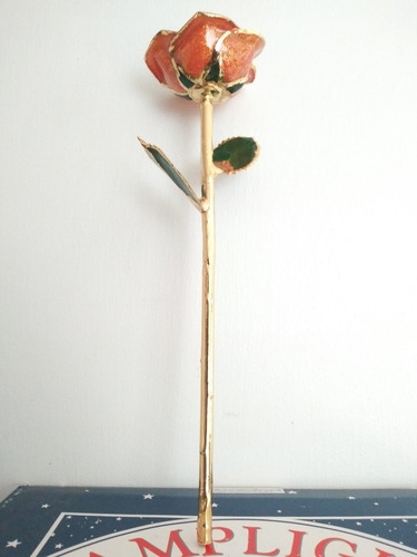 Rosa Preservada En Baño 24 Gold Rosa Por Siempre De 29cm