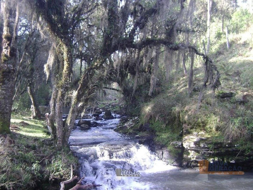 Imagem 14 de 22 de Chácara À Venda, 45000 M² Por R$ 529.900,00 - Zona Rural - Caxias Do Sul/rs - Ch0003