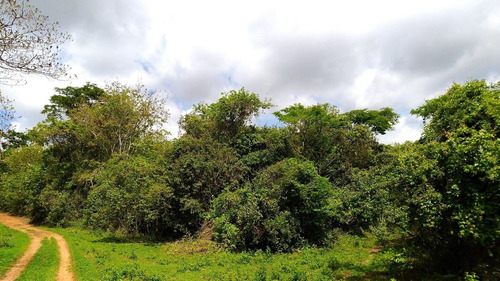Imagem 4 de 11 de Chacara - Zona Rural - Ref: 955 - V-955