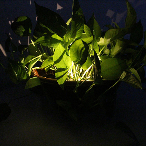 5 Impermeable Al Aire Libre De La Luz Solar Del Led