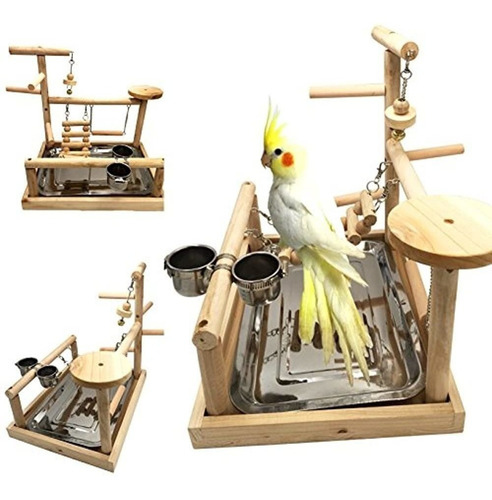 Borange Parrots Playstand Bird Playground Wood Perch Gimnasi