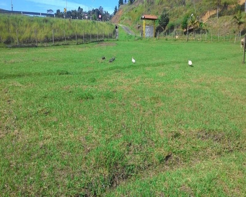 Imagem 5 de 30 de Chacara - Ch00076 - 32820346