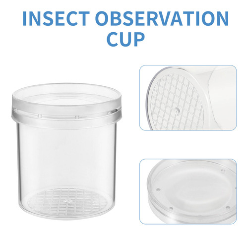 Copa De Observación De Insectos Al Aire Libre