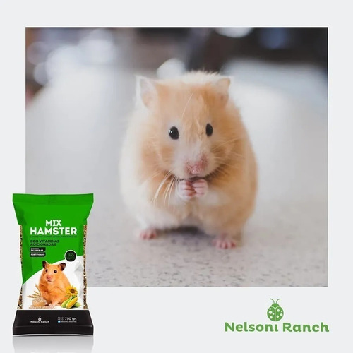 Imagen 4 de 7 de Alimento Premium Mix Hamster 10kg Criadero Nelsoni Ranch