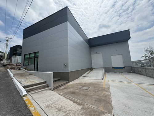 Bodega Con 225kvas A 5min Piq
