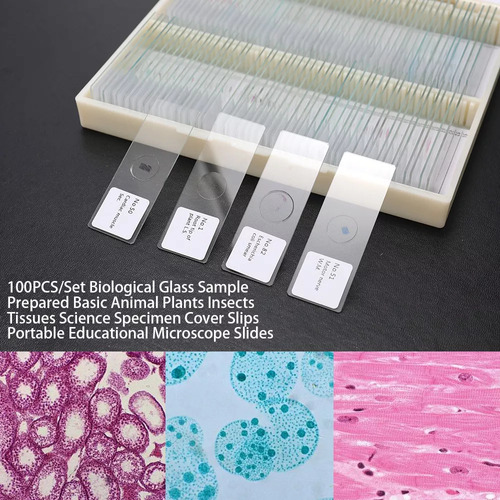 100 Muestras Biológicas Para Estudio Microscópico