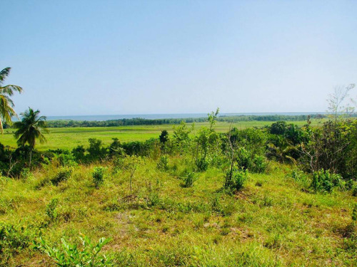 Vendo Este Terreno 6.944.160 De Metros Con Playa En Miche