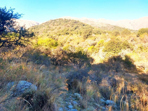 Imagen 6 de 6 de Terreno 800 M2 Parque Calaguala Venta Calaguala Cerro De Oro San Luis