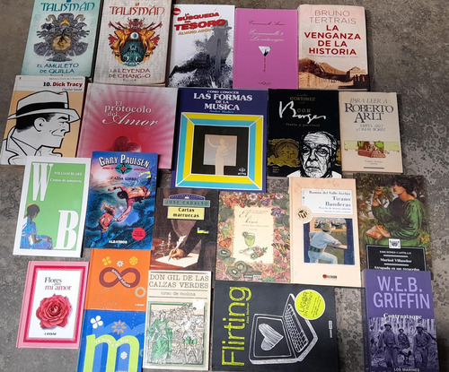 Lote De Libros Usados Surtidos  X 22 Ejemplares  