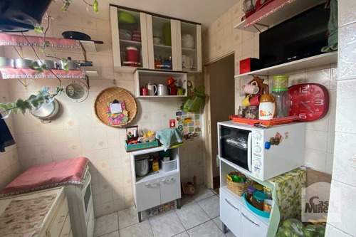 Imagem 11 de 11 de Apartamento À Venda No Santa Efigênia - Código 318790 - 318790