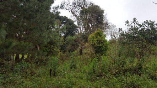 Chácara A Venda No Bairro Miringuava Em São José Dos - 5663-1