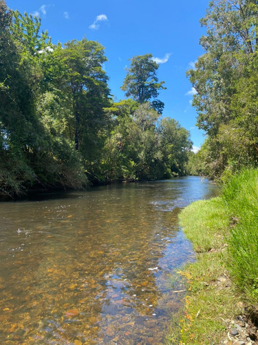 Hermoso Campo 8,5 Ha - Orilla Rio Llico