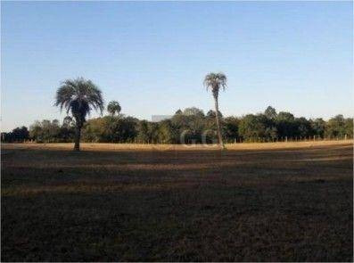 Imagem 6 de 20 de Chácara Com 3 Dormitórios À Venda, 96000 M² Por R$ 750.000,00 - Águas Claras - Viamão/rs - Ch0055