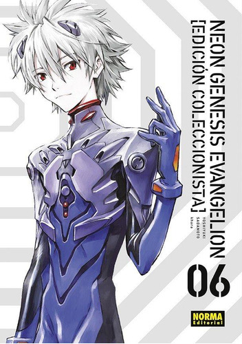 Manga Neon Genesis Evangelion Edicion Coleccionista 6 Norma