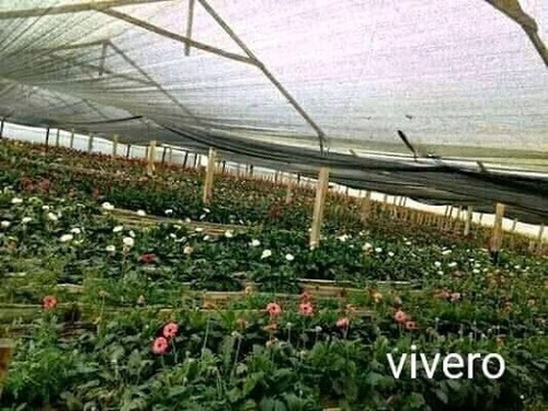 Imagen 19 de 24 de Casas En Venta Puerto Boyaca 476-2419
