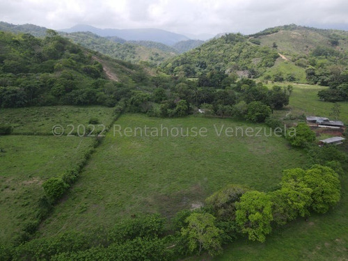 Imagen 19 de 30 de Finca En Venta San Felipe 1500 Ha, #23-14481