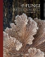 Libro The Lives Of Fungi : A Natural History Of Our Plane...