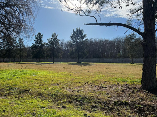 Terreno - Lote A La Venta  Club De Campo  La Taquara .-